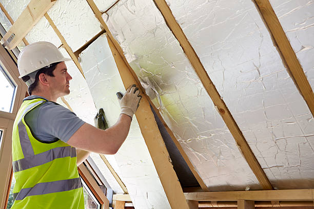 Best Types of Insulation in Canadian Lakes, MI