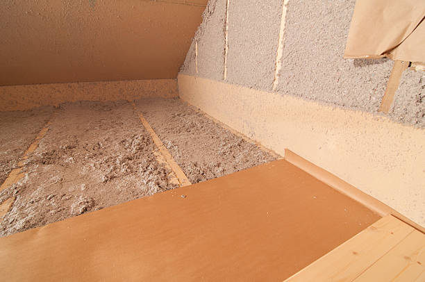 Best Insulation Installation Services in Canadian Lakes, MI